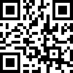 the qr code