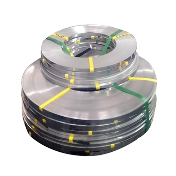 Stainless Steel Strip